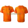 Original Fußballtrikot Niederlande Auswärtstrikot Torwart WM 2022 Für Herren